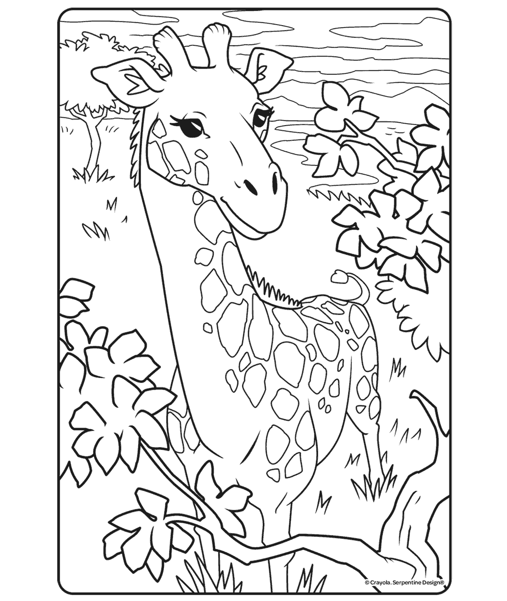 Girrafe