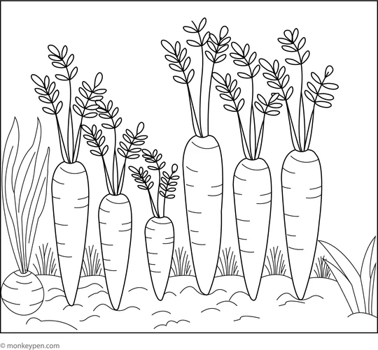 4642 5 Carrot In A Garden Patch Coloring Page
