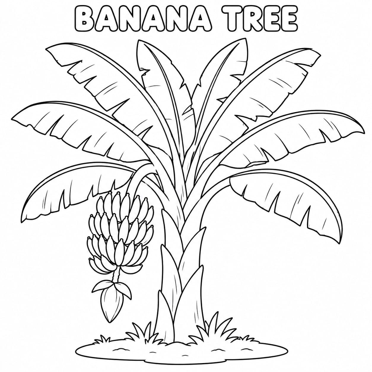 Banana Tree