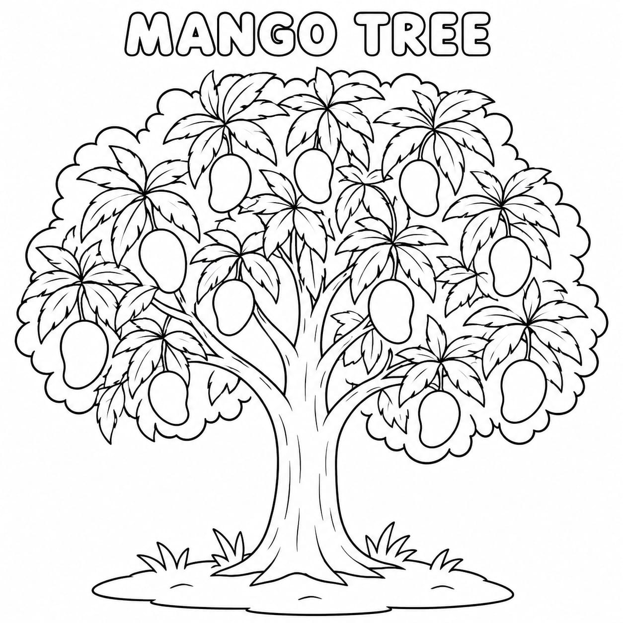 Mango Tree
