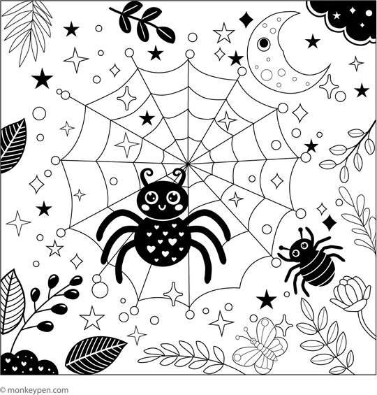 Colorspider